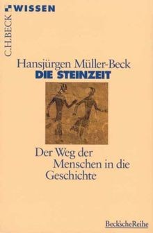 Die Steinzeit: Der Weg der Menschen in die Geschichte (C... | Buch | Zustand gut
