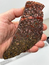 Orbicular Leopard Skin Jasper Slab Lapidary Cabbing Combo Ship Avail