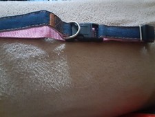 Super cute dog collar pink on the inside size large great price