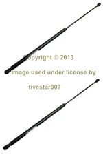 2 OEM Stabilus Left & Right Hood Lift Support Shocks Struts For Jaguar XK8 XKR