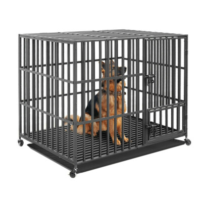 46 dog crate