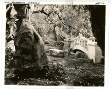 Vintage 8x10 Production Photo College Holiday 1936 	Jack Benny Burns & Allen