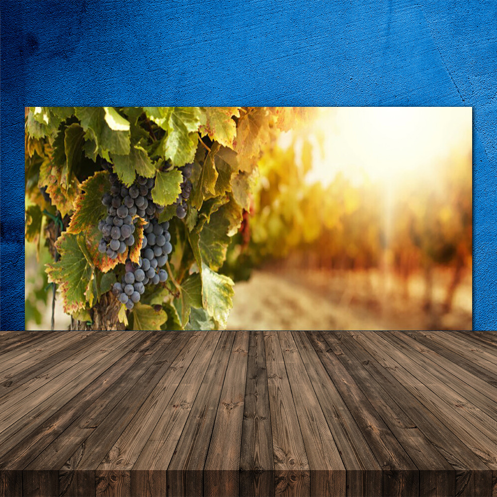 Crédence de cuisine verre trempé haut de gamme motif Nature Raisin 120x60