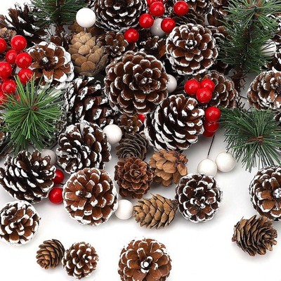 hatisan 115Pcs Christmas Pine Cones Berry Branch Set White