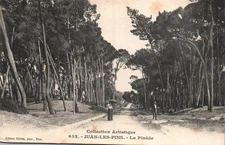 POSTCARD - JUAN-LES-PINS - ALPES MARITIMES - 06 - LA PINEDE