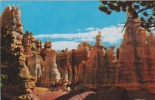 Queen Victoria Rock Formation-Bryce Canyon National Park, Utah