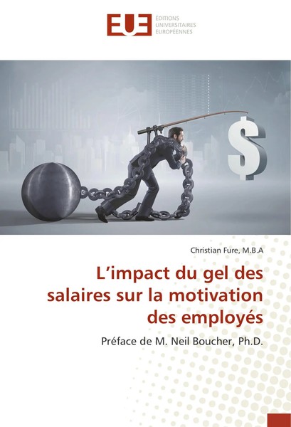 L¿Impact Du Gel Des Salaires Sur La Motivation Des EmployéS M. B. A Fure Buch-image