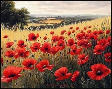 A Field of Poppies - Chart Counted Cross Stitch Patterns Needlework DMC Color