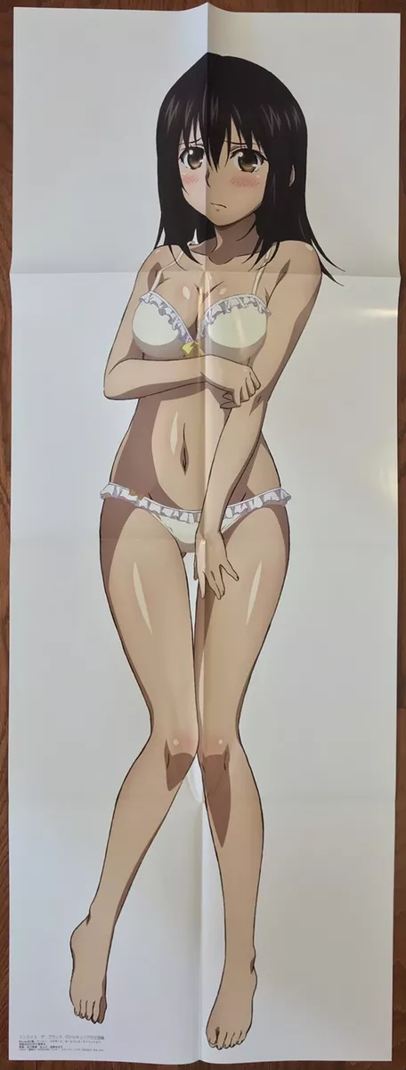 Double Sided Anime Poster: Strike the Blood, Is the Order a Rabbit