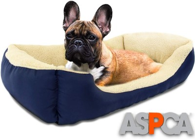cuddly dog beds