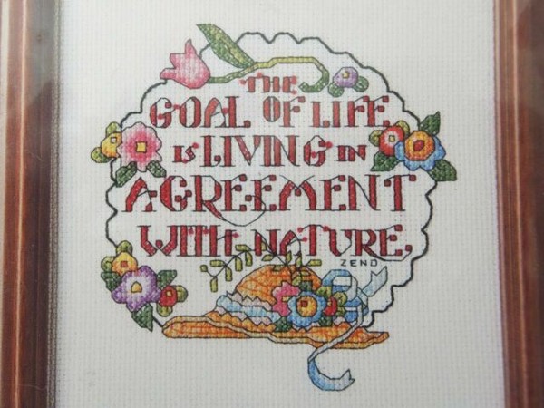 3 Bucilla Mary Engelbreit Counted Cross Stitch Kit Garden ...