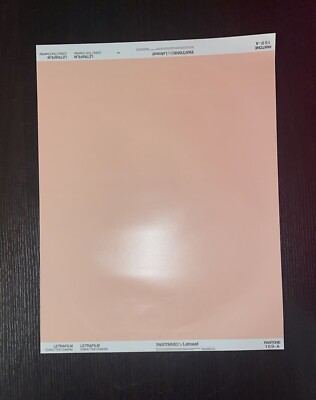 Vintage Pantone by Letraset Letrafilm Color/Tint Overlay 169-A   20x15.25