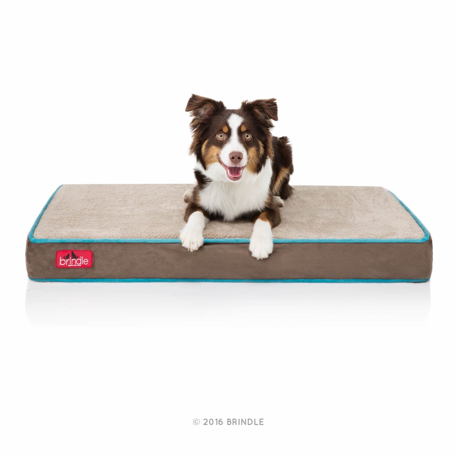 waterproof bolster dog bed