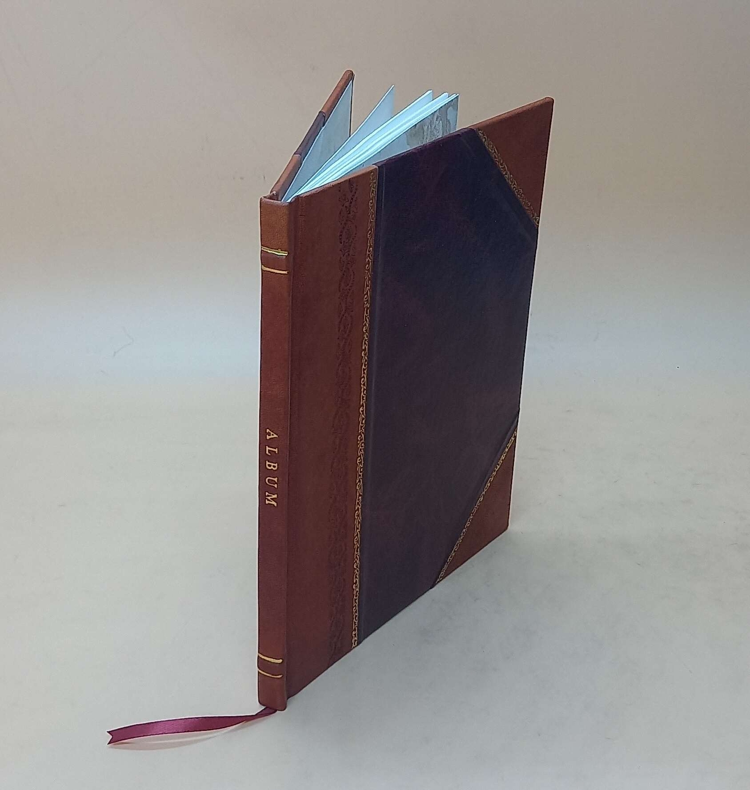 Album [Suivi De D?Ner Japonais] : [M?Tiers, Portraits Et Sc?Nes [Leather Bound]