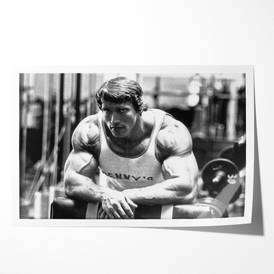 EB027 Arnold Schwarzenegger Fitness Gym Exercise Motivation Poster and Canvas