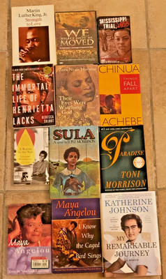 Lot of 11 African American Studies Books + DVD We Shall not be Moved NIP~ MLK ++