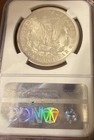 1921 P MS64 NGC Morgan — photo 4