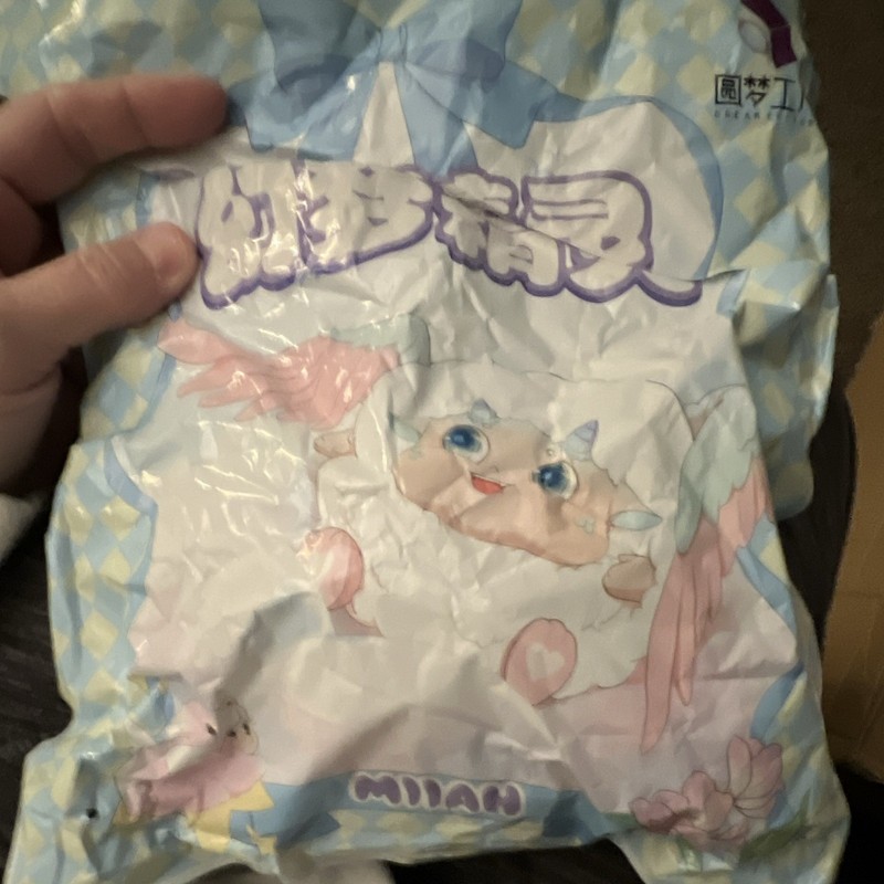 Sealed Blind Pack Collectible Figure Chinese Text Packaging