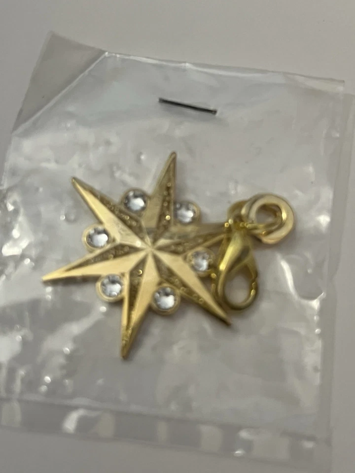 DAR Daughters of the American Revolution Continental Congress 2025 CHARM - NEW - Image 2 of 4