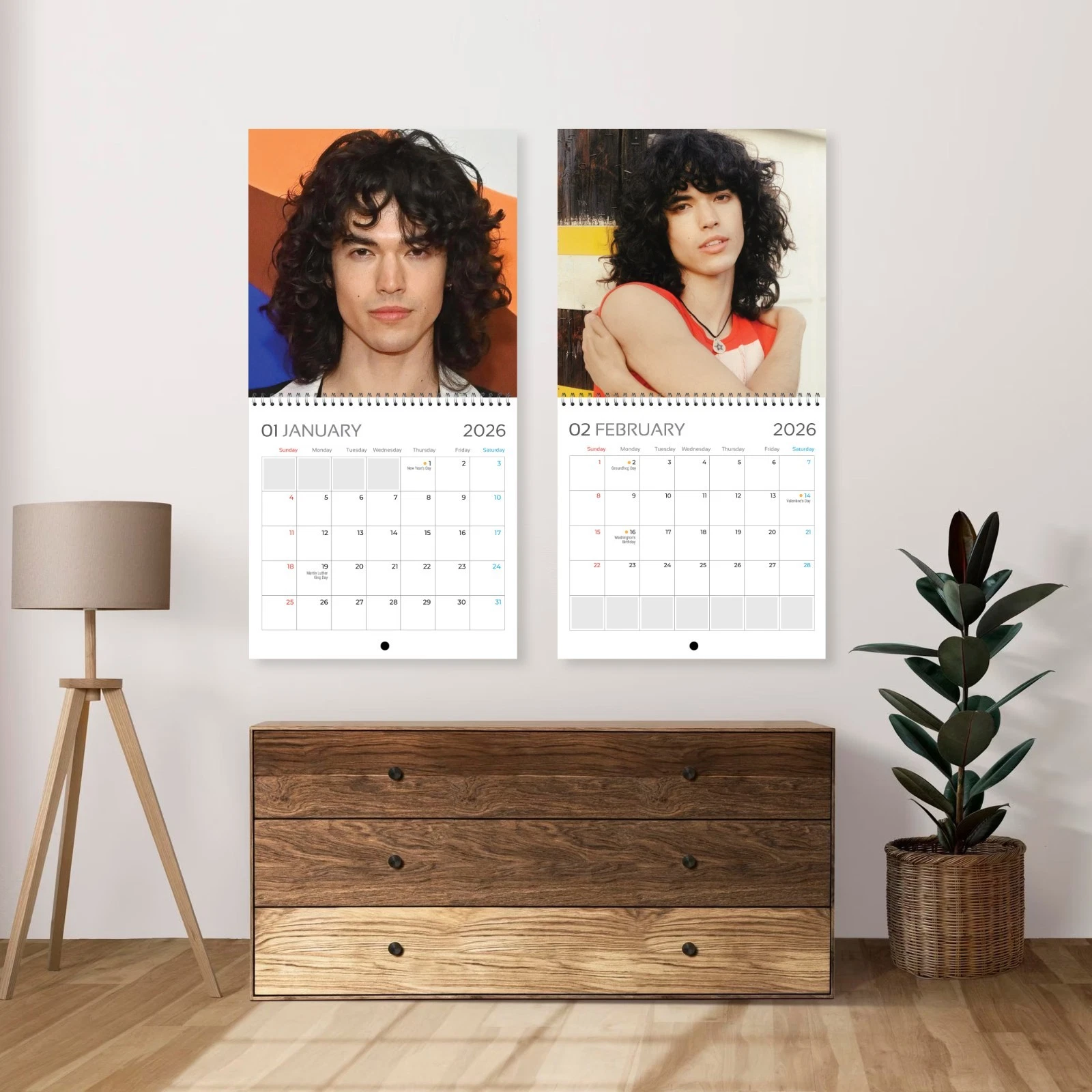 Conan Gray 2026 Wall Calendar, 12-Month Star Collection