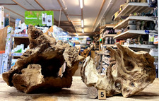 Nano Derwen Oak Bogwood  Bundles Dense Driftwood ideal for aquariums & vivariums