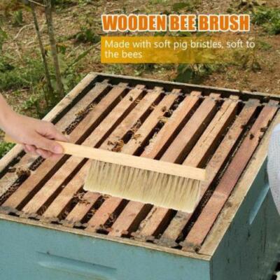 Wooden Natural Beekeeping Bee Brush Beekeepers Beehive Tool Equipment