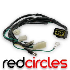 PIT BIKE ZONGSHEN 125 h/o CABLAGGIO DIGITALE TELAIO CABLAGGIO 125cc Z125 PITBIKE