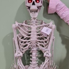 Ashland 5ft. Life Size Spooky Skeleton Halloween Decoration