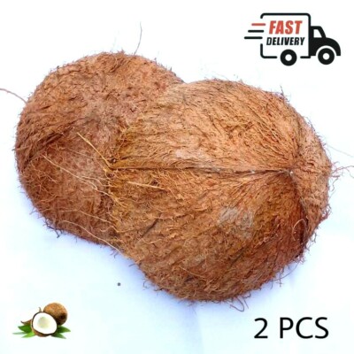 Eco Friendly 100%Natural Coconut Shell Bowl Organic Halves Free Shell Handicraft