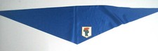Jungpionier Halstuch FDJ Bluse