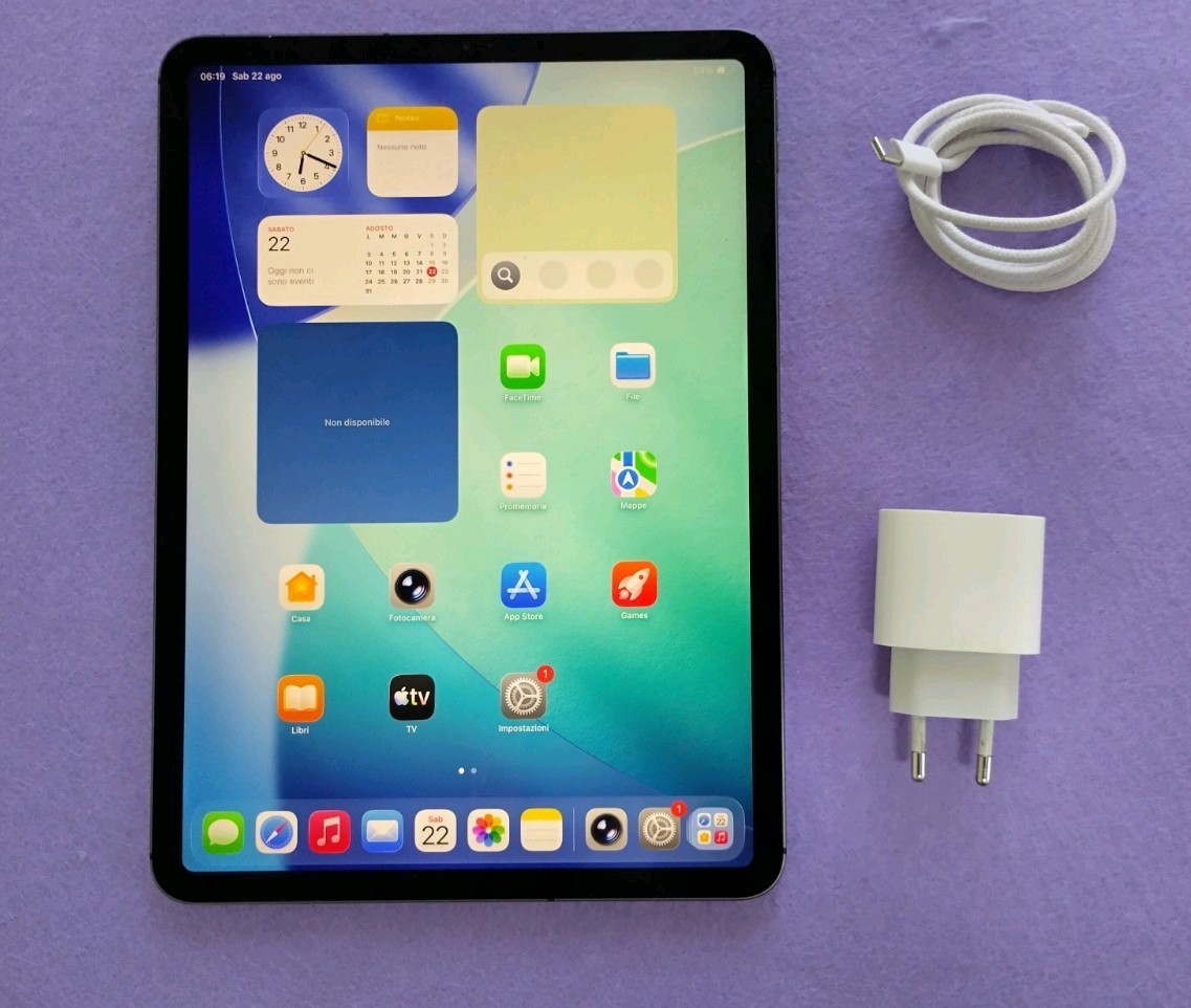 Apple iPad Pro 11 512GB (A1934) 1 Gener. 2018 WI-FI + cellular batteria nuova
