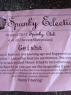 24 Oz Handdyed Cheviot Sheepswool From Spunky Eclectic Fiber Club — photo 6