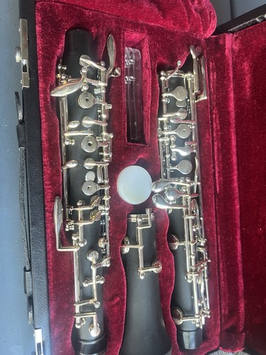 Full conservatory Unbranded Oboe