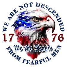 -We The People 1776 American Bald Eagle Flag Car Decals -250th Anniversary of