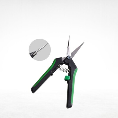 Dutch Master Hydrokultur - Schere Kurven Für Finish