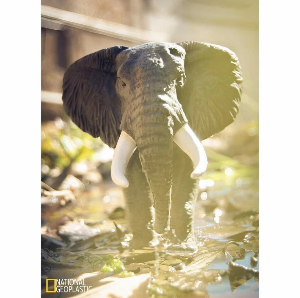 Elefante Africano Papo 50192 African elephant Eléphant d'Afrique - Imagen 2 de 2