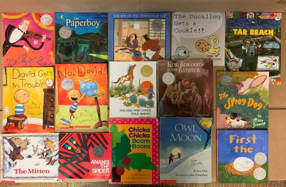 Lot of 15 Caldecott Honor Award Winning Chapter Children Kid Books AR*RANDOM MIX Foto 4 de 4
