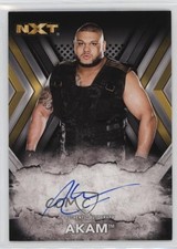 2017 Topps WWE NXT Akam #RA-AK Auto 03j5