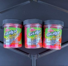 Berkley Gulp Alie Kit