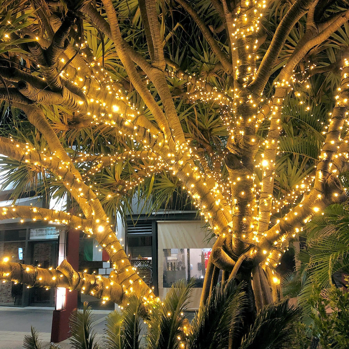Warm white 2024 icicle lights 10m