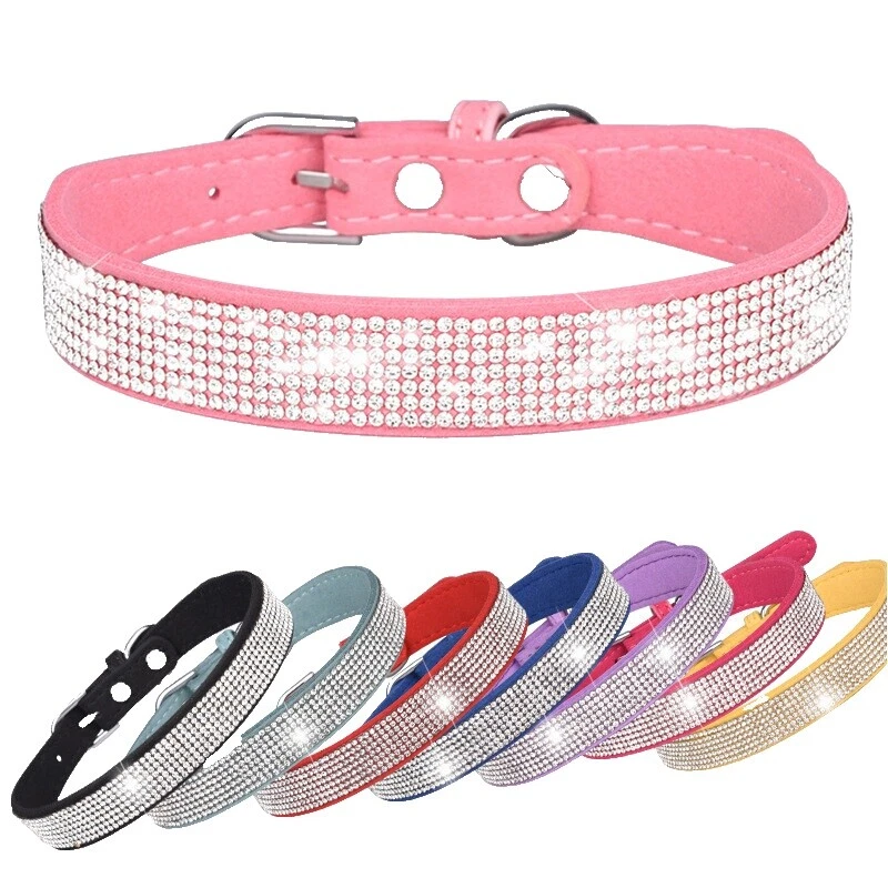 Chihuahua Dog Collars