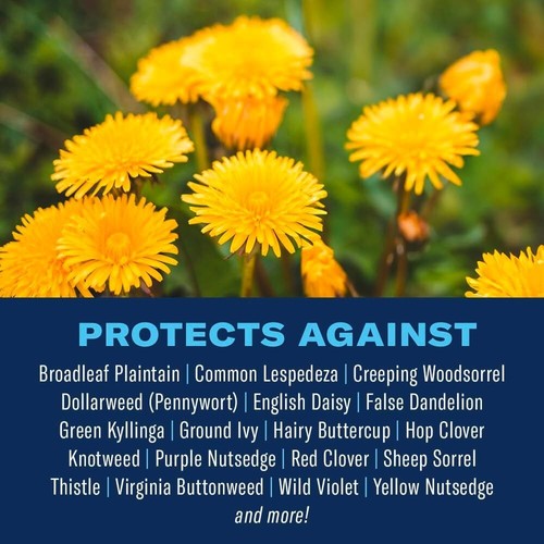BioAdvanced 3-In-1 Weed and Feed for Southern Lawns, Granules, 25 lb & 10,000 Sq - Picture 3 of 8