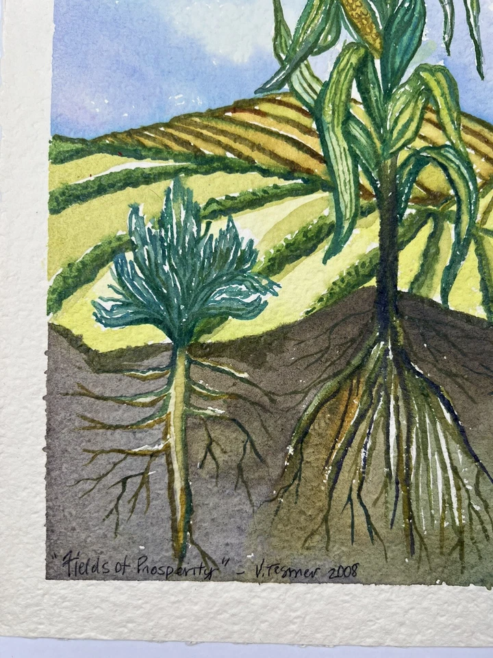 Vicky Tesmer Watercolor Farming Painting Plants Corn Fields Of Prosperity 14x11” - Image 2 of 4