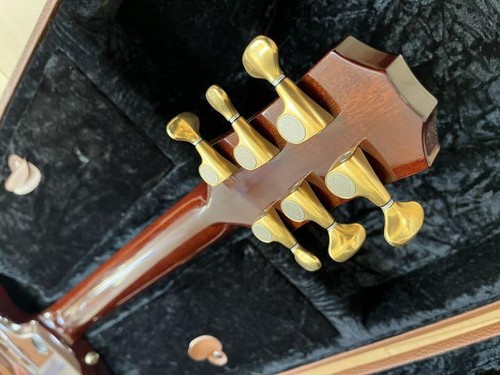 taylor solidbody custom