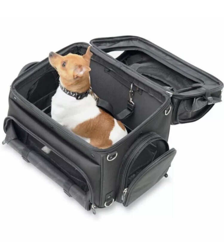 pet voyager carrier