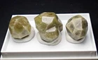 Typelocality 3x GROSSULAR Garnet crystal crystal VILYUI Sakha RUSSIA Russia