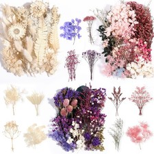 Real Dried Flowers 100 Natural Dried Flowers, Mixed Colors Dried Leaf Flower...