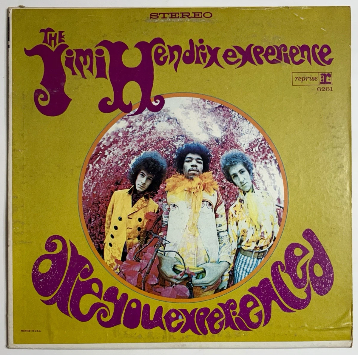 Jimi Hendrix Are You Experienced for sale | eBay