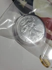 2014 W .999% Silver American Eagle Dollar In Original Capsule Burnished Beauty.