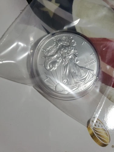 2014 W .999% Silver American Eagle Dollar In Original Capsule Burnished Beauty.